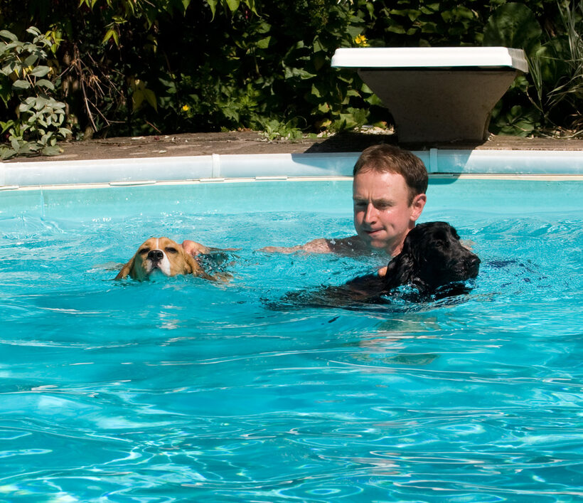 Kero and Digby Swimming with Ross