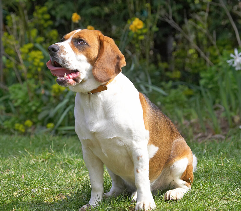 Jus' lickin' my chops