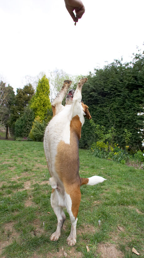 S'pose you think that's funny
