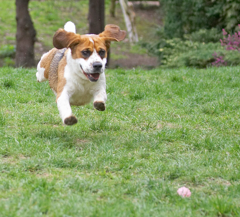 Wheee, I'm flying