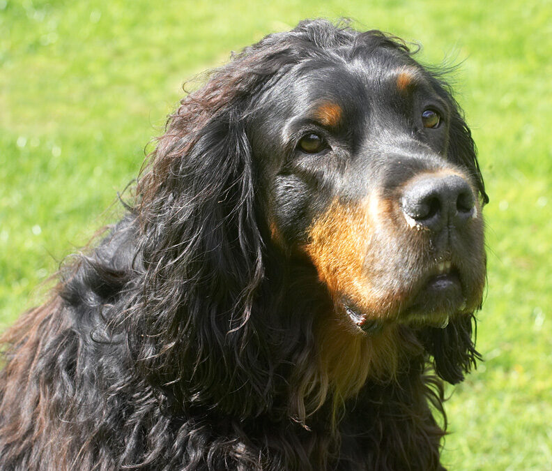 Cassie aka Molly Moe looking very regal