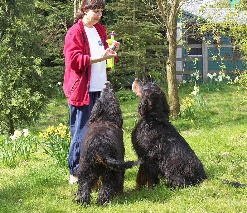Molly Moe & Barks awaiting the bubbles with anticipation