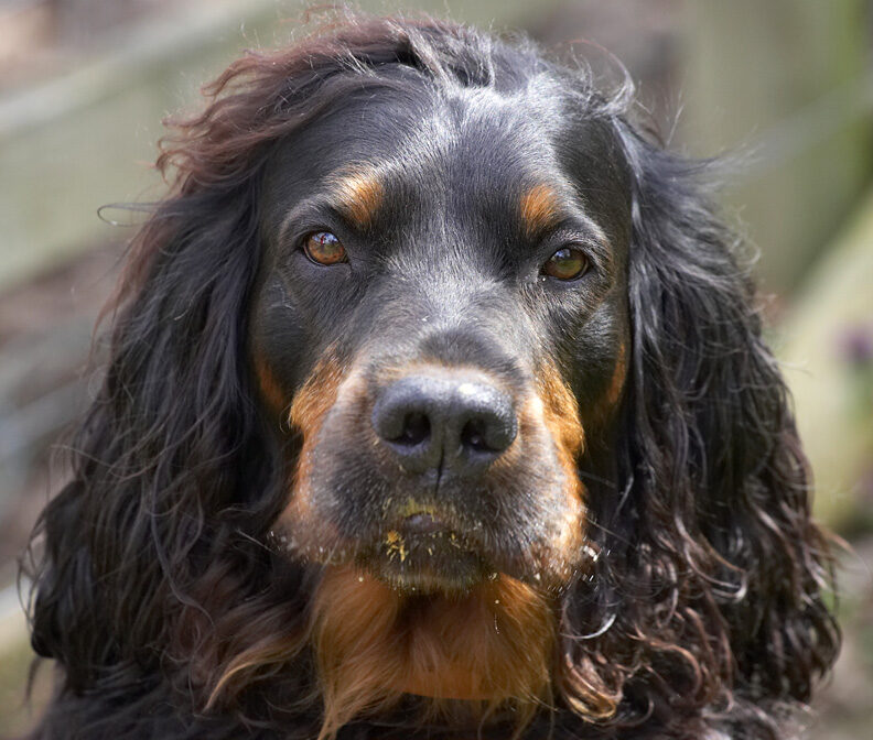 Butter wouldn't melt........... oh, it's peanut butter