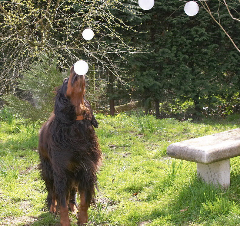 Look, I can balance this on my nose