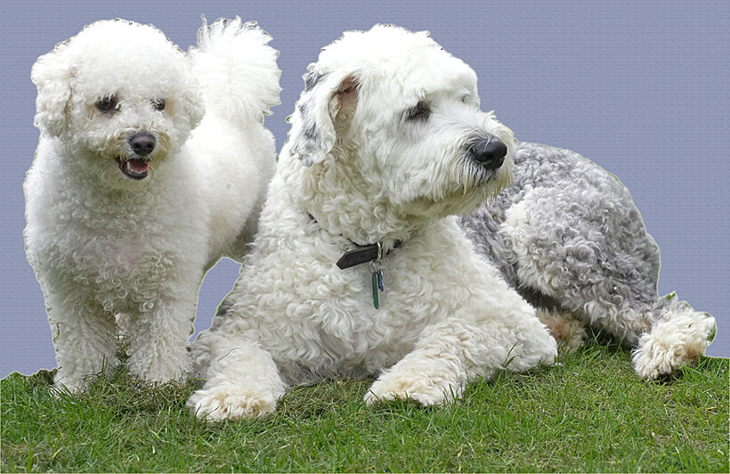 Arnie and Lucy