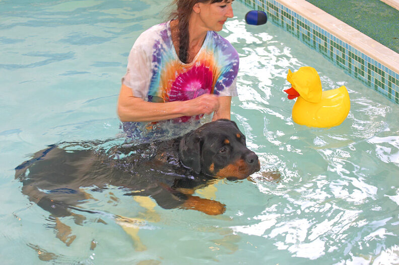 Ronan Having A Swim