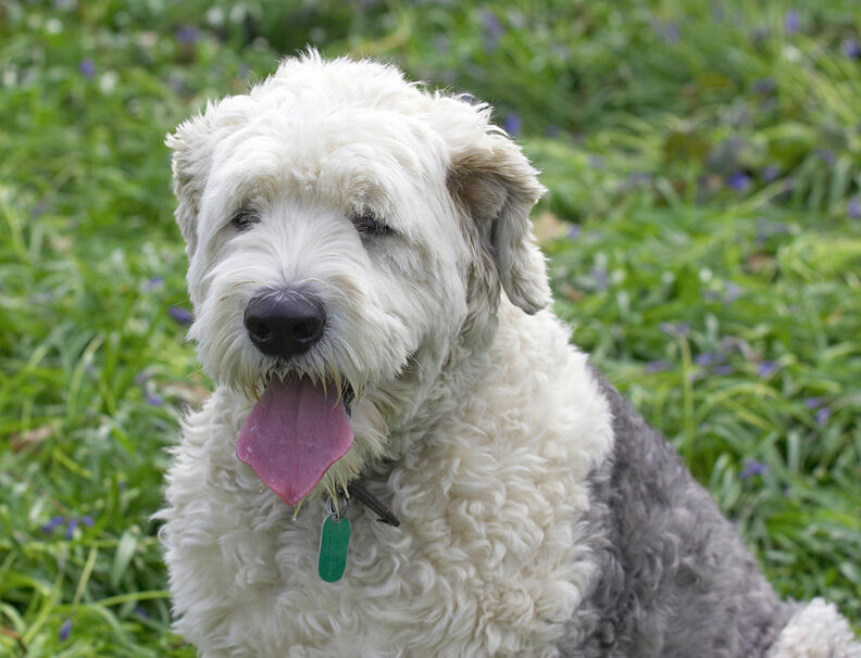Lucy
