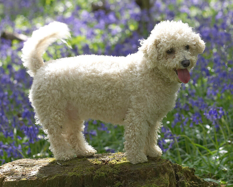 Arnie posing