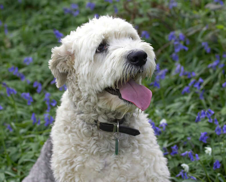 Lucy looking very pleased with herself