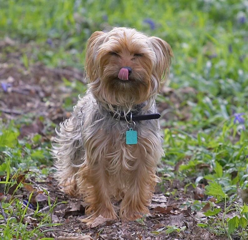 I'll just pose for this photograph