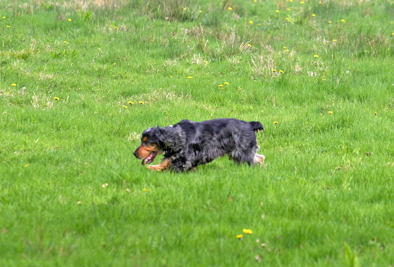 Wally on a mission