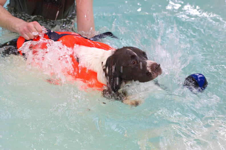 Chester Making A Big Splash