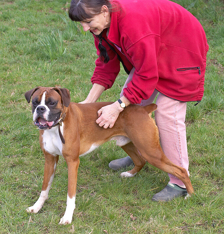 Marjorie and Dave the Dog