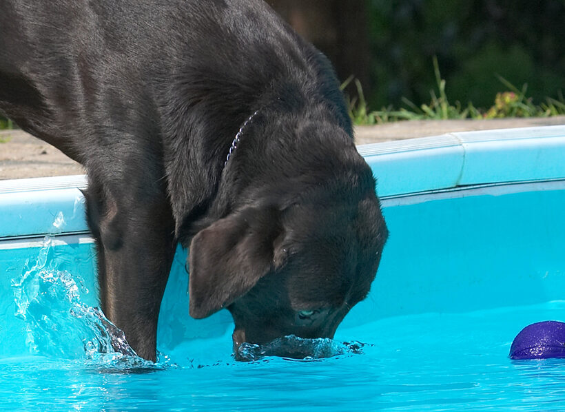 It's called a slide dive - OK!!