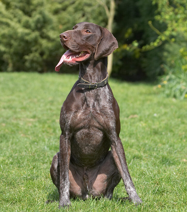 See, I can sit still