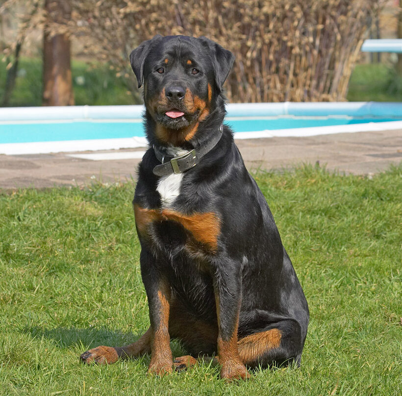 Who's a pretty girl then!