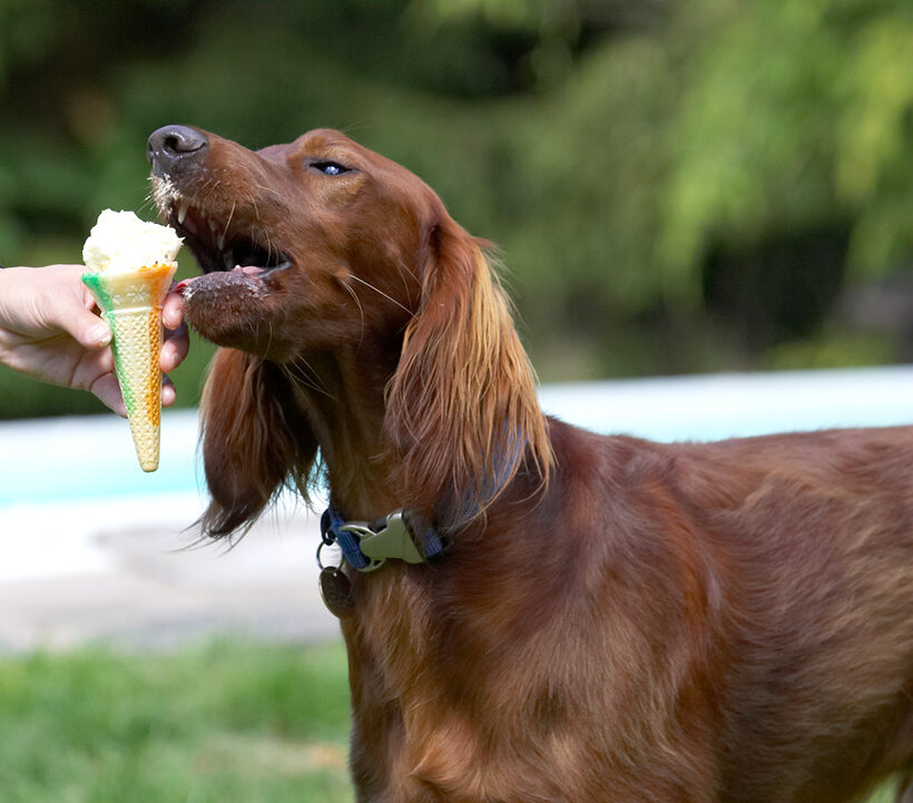 I think I'll take it in just one bite