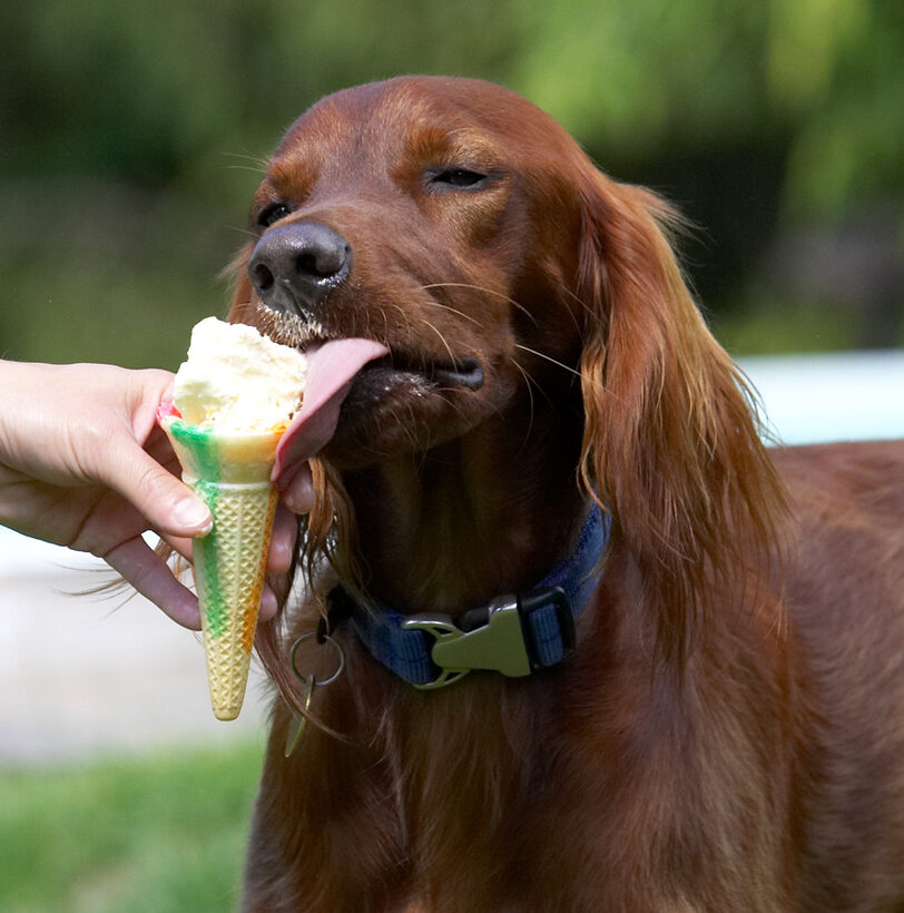 Or, maybe I'll just lick
