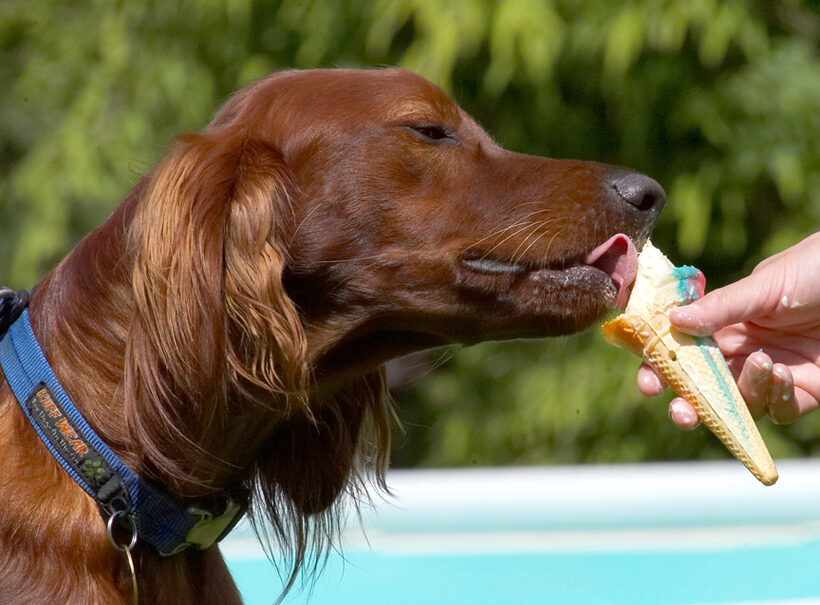 Nope, I'll just lick
