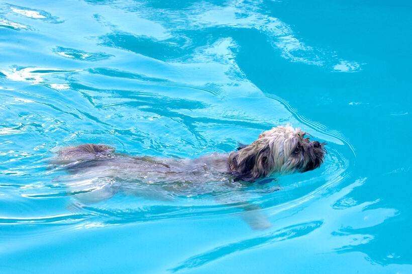 I'm just a natural water baby