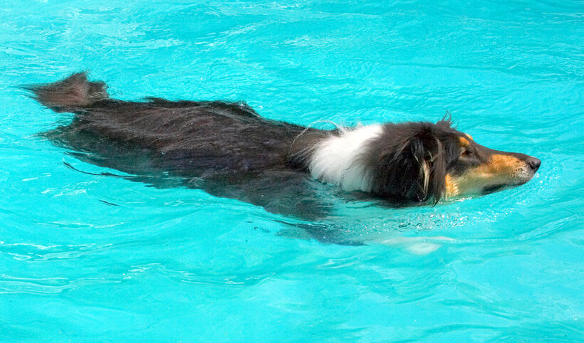 Look how streamlined I am