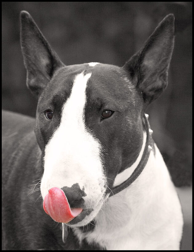 Just lickin' my chops