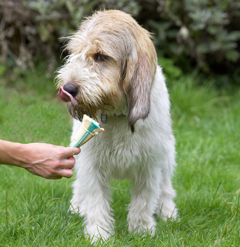 Just a minute, gotta get this bit off my nose