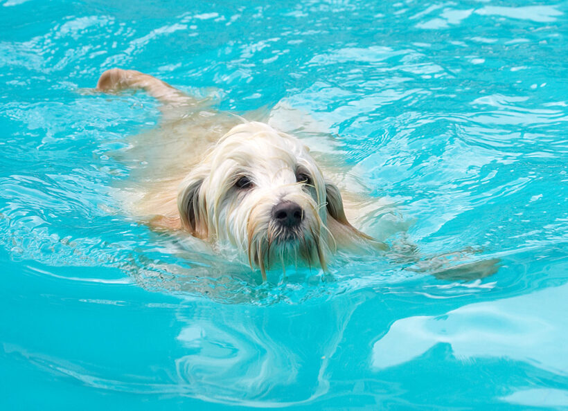 I'm just a natural water baby