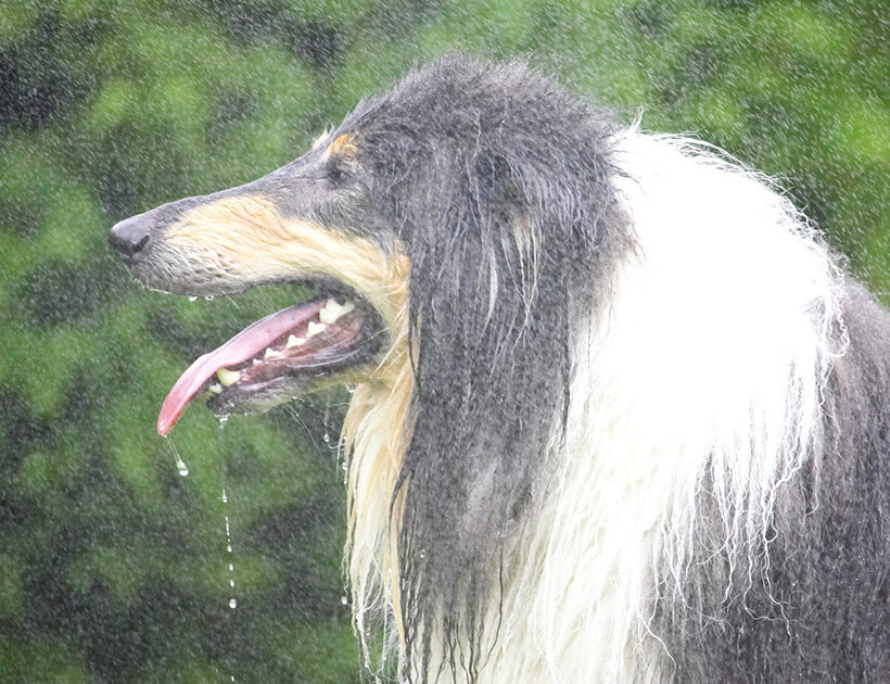 Look, I go swimming, I don't need a shower as well