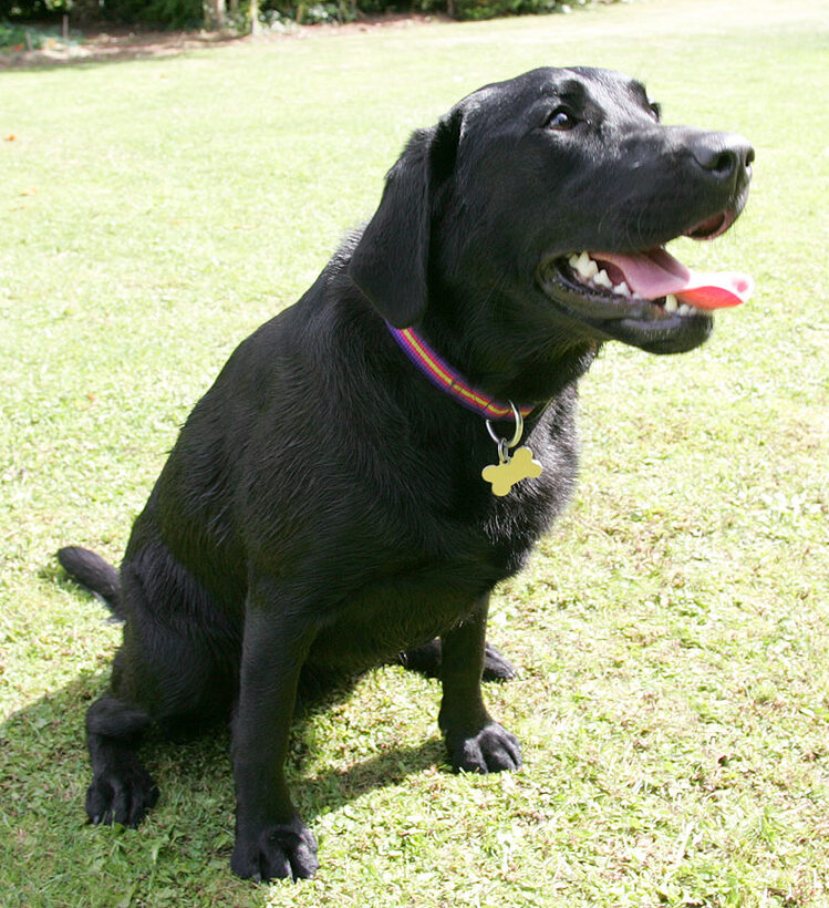 Ellie