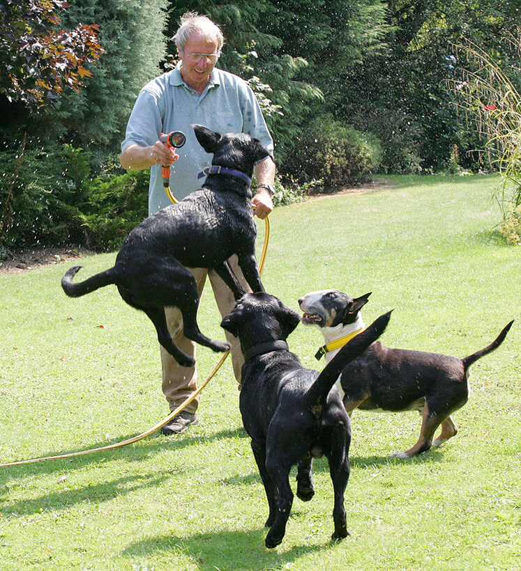 Harvey, Buddy, Tapa -- And Vic