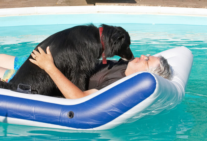 Animal, Animals, Barney, Canine, Canines, Collie, Collies, Craig, Dog, Dogs, Land Mammal, Land Mammals, Play, Playing, playtime, Pool, Swimming, Swimming pool, Terrestrial Mammal, Terrestrial Mammals