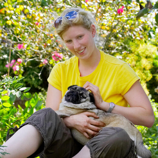 Bruno, Dog, Dogs, Laura, Loui, Pug, Pugs