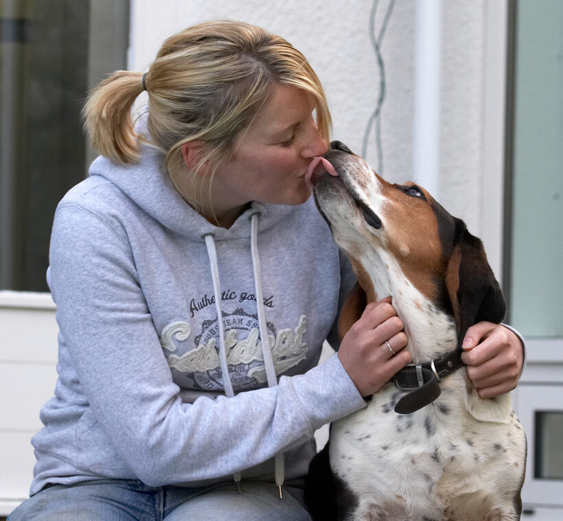 Bassett hound, Dog, Dogs, Humphrey, Kate, Kiss, Tongue