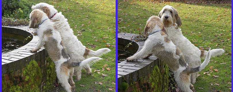 Alfie & Libbie inspecting the fountain