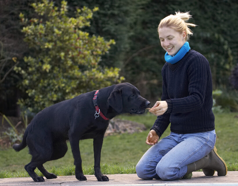 Cookie, Dog, Dogs, Girl, Hanka, Kneel, Kneeling, Labrador, Play, Playing, Playtime, Smile, Smiling, Thelma, Woman