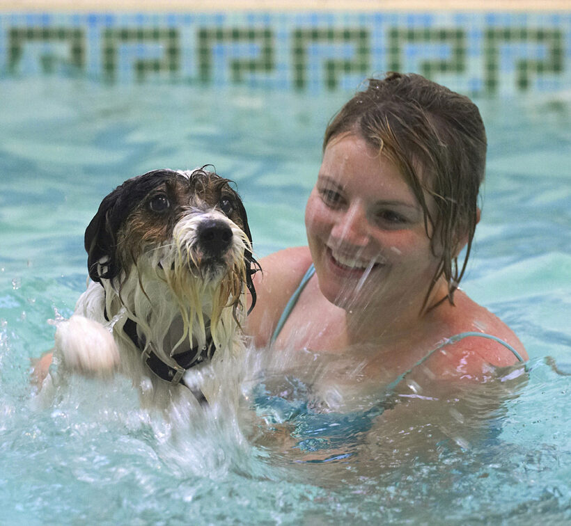 Dog, Dogs, Kate, Muki, Parson Russell Terrier, Play, Playing, Playtime, Pool, Splash, Splashing, Swim, Swimming, Terriers
