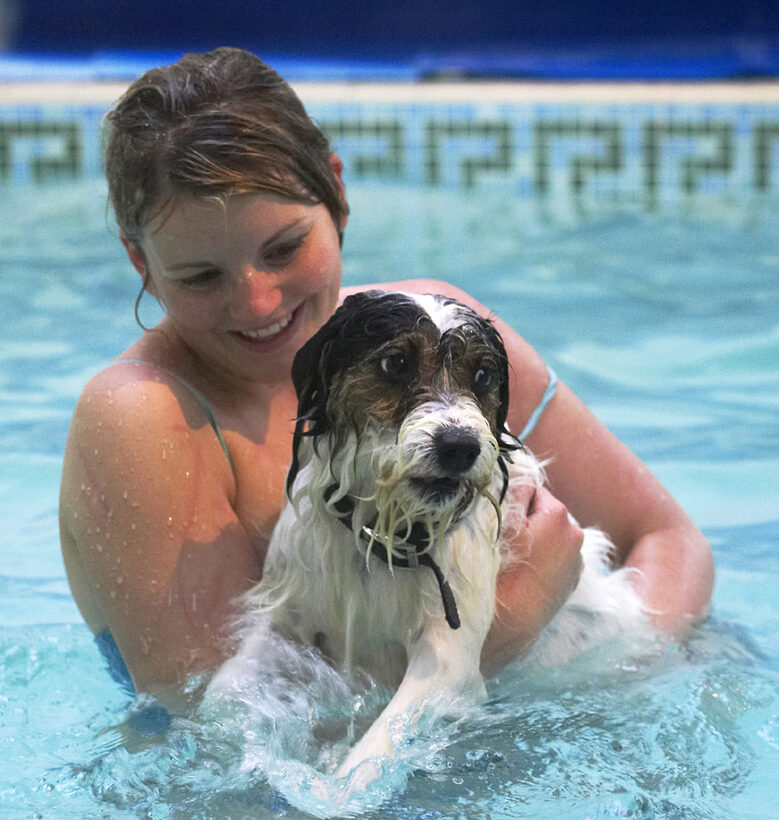 Dog, Dogs, Kate, Muki, Parson Russell Terrier, Play, Playtime, Pool, Swim, Swimming, Terriers
