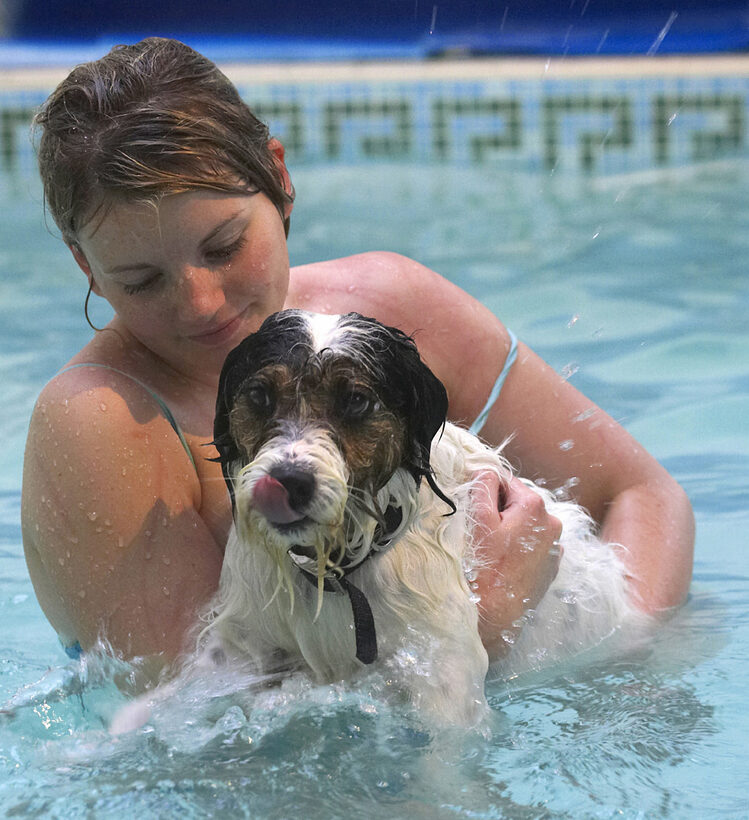 Dog, Dogs, Kate, Muki, Parson Russell Terrier, Play, Playing, Playtime, Pool, Swim, Swimming, Terriers, Tongue