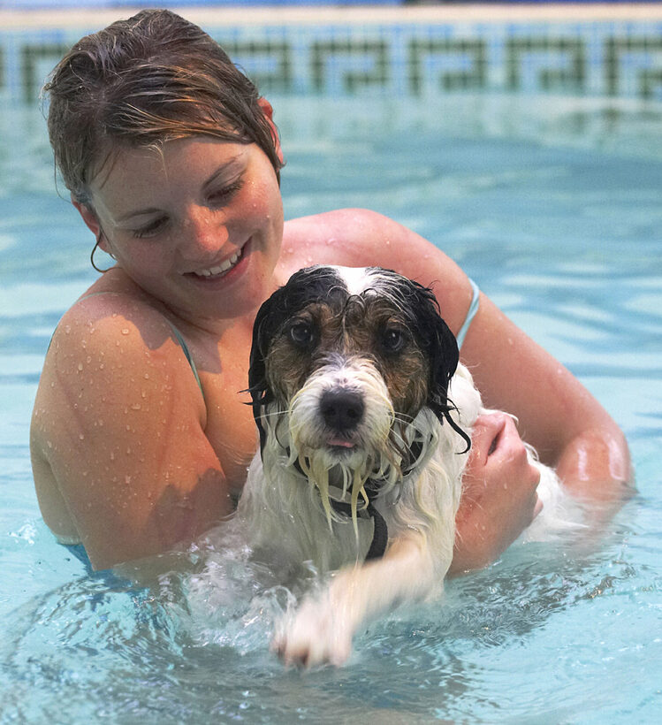Dog, Dogs, Kate, Muki, Parson Russell Terrier, Play, Playing, Playtime, Pool, Smile, Swim, Swimming, Terriers