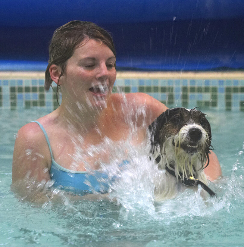 Dog, Dogs, Kate, Muki, Parson Russell Terrier, Play, Playing, Playtime, Pool, Splash, Splashing, Swim, Swimming, Terriers