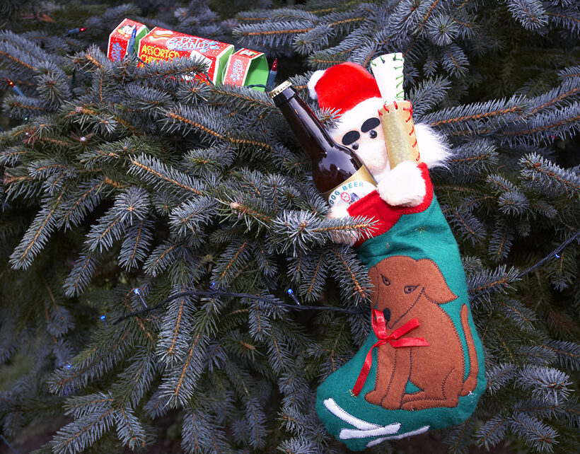 Christmas, Cracker, Lights, Presents, Stocking, Tree