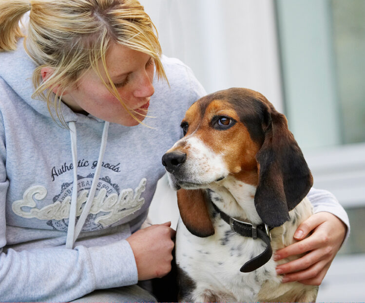 Bassett, Blonde, Dog, Dogs, Hound, Hounds, Humph, Humphrey, Kate, Play, Playing, Playtime, Woman