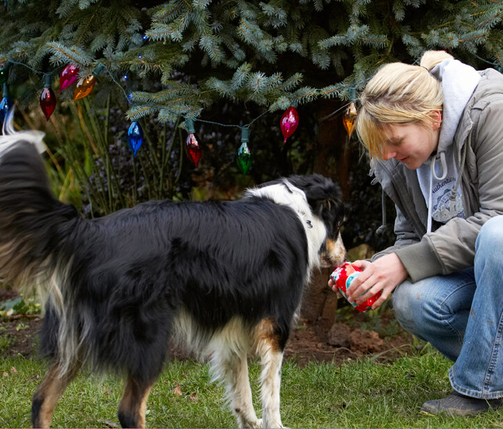 Blonde, Border Collie, Christmas, Collies, Gifts, Kate, Paper, Play, Playing, Playtime, Presents, Stinky, Tree, Woman, Wrapping
