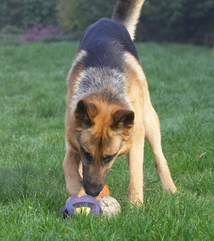 Now, how do I pick up this ball?