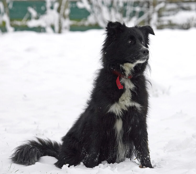 What's all this white stuff?