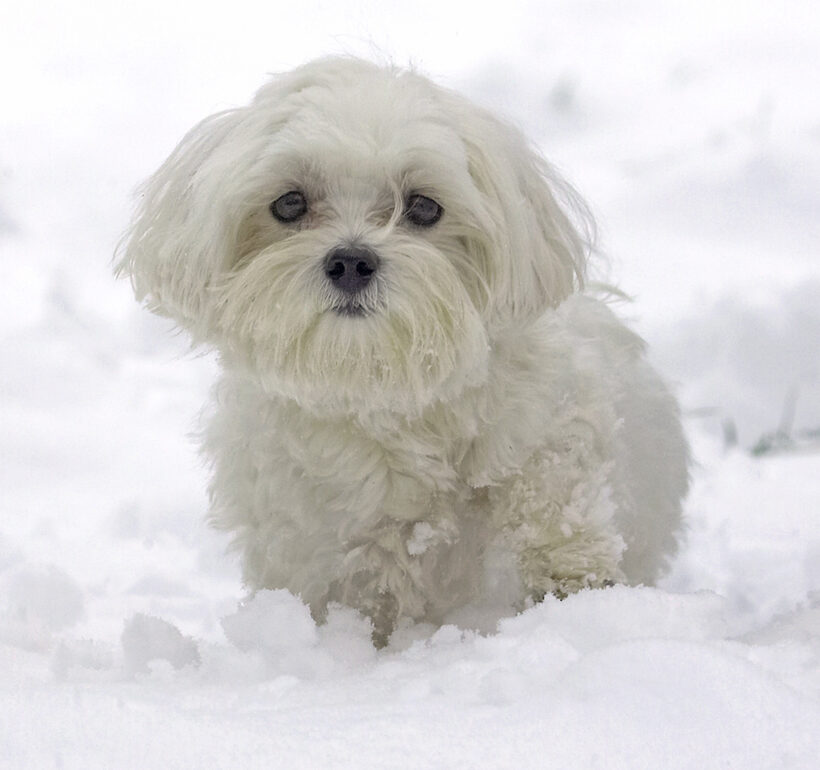 What's all this white stuff?