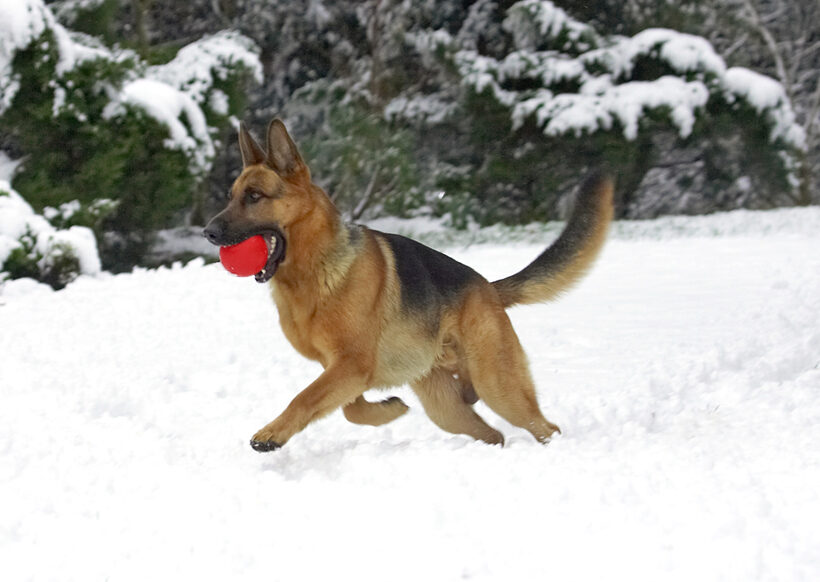 Is that another ball over there?