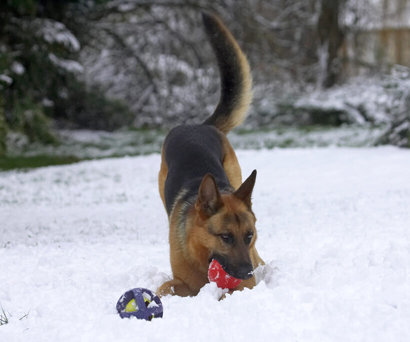 I just love playtime