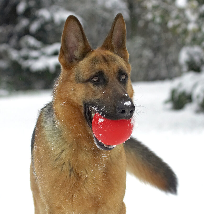 I'll bring the ball back when I'm ready